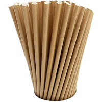 Kraft paper straw